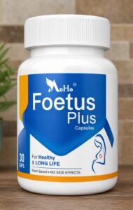 Foetus Plus
